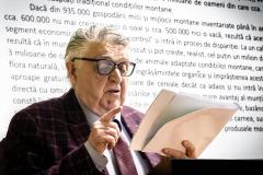 Prof.Dr.H.C., Radu Rey, 